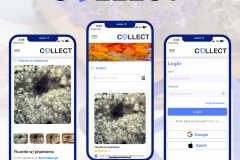 Collect Mineral Club mobile app